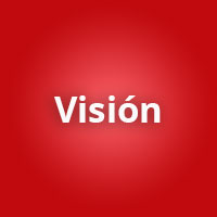 vision roeg